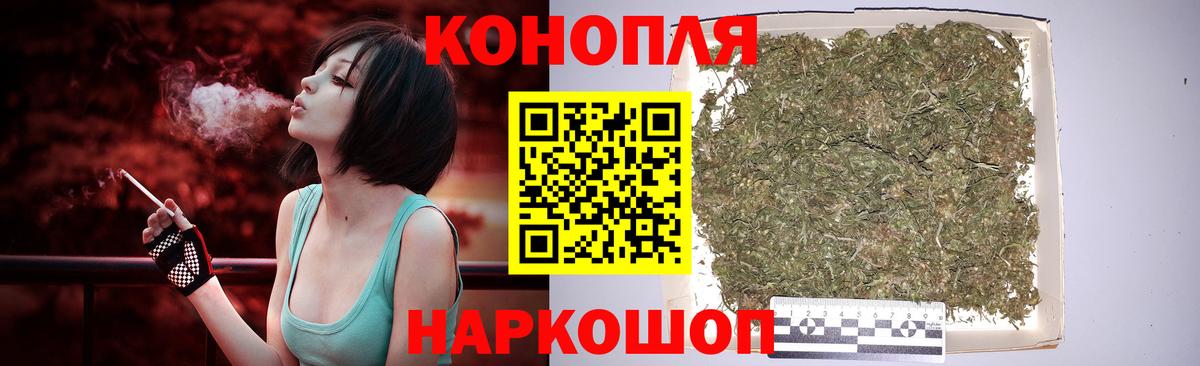 Бошки Шишки конопля Нефтекумск